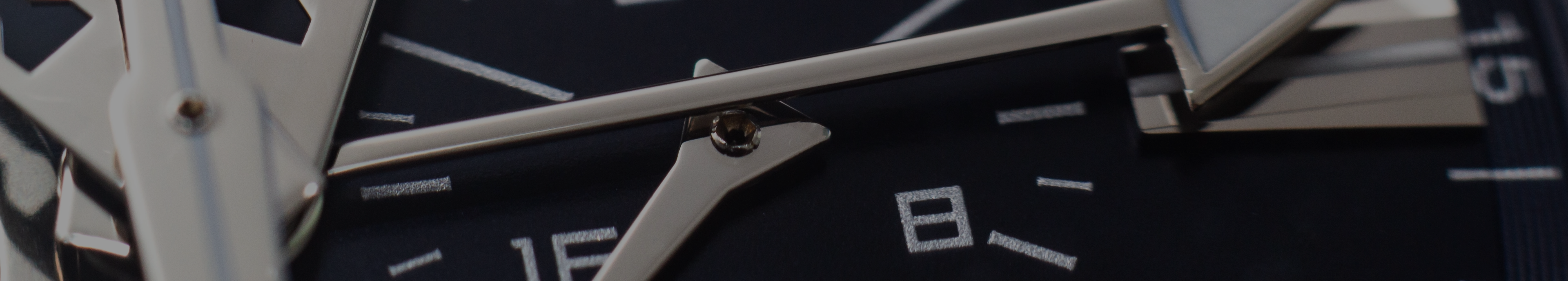 Luxury Watch Detail